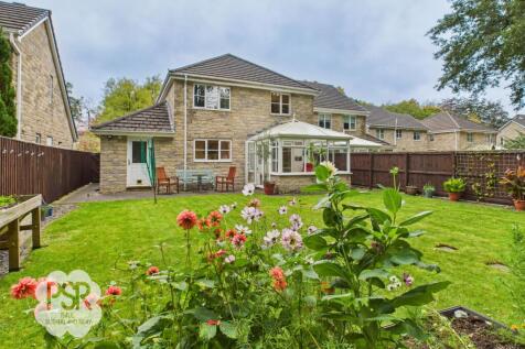 Property Image 45