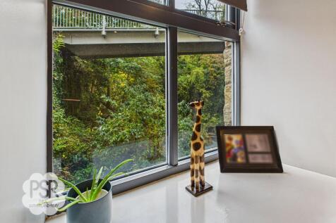 Lounge / Dining Room