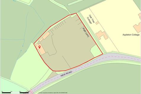 Promap27945482898137 RED.jpg