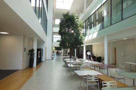 DSCN7099.JPG