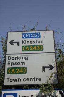 _36C0496.jpg