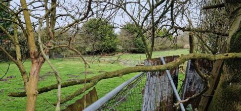 View to the River Bain