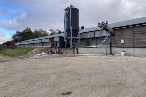Highlander Farm Chicken Shed