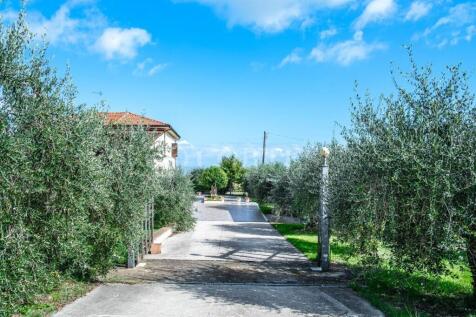 Property Image 39