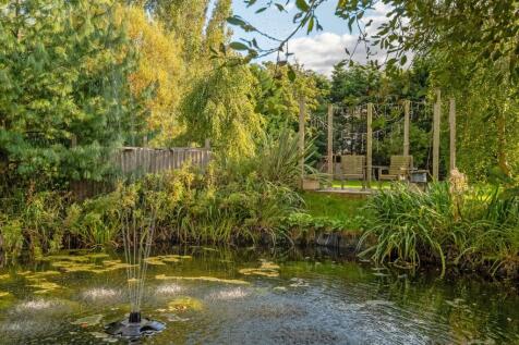 Property Image 54