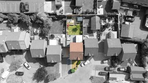 Plot View