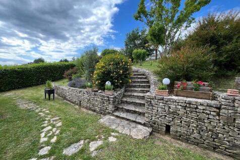 Back garden