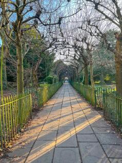 Birdcage walk