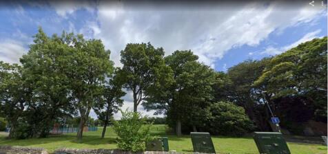 VIEWS OF PARK.jpg