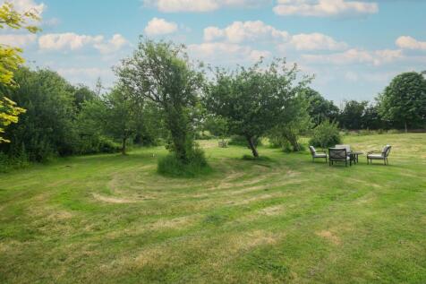 images-6
