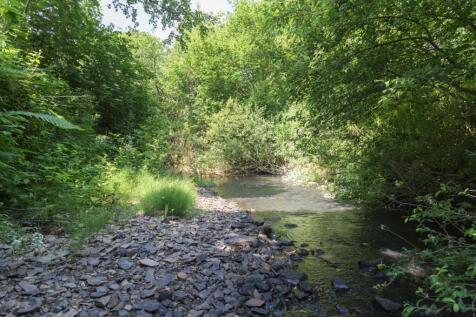 images-50 (1)