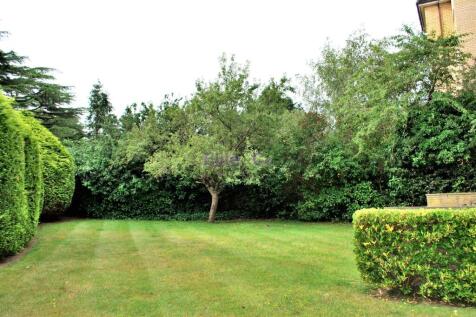 Communal Garden