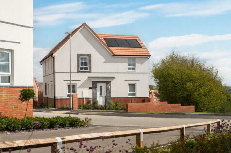 Alderney_HollyView