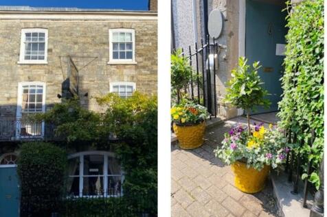 Untitled design (33).jpg