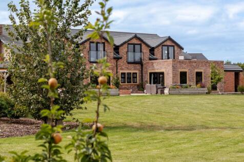 Property Image 64