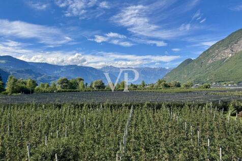Aussicht Richtung Meran - Texelgruppe