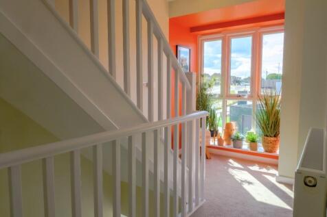 Show Home Image