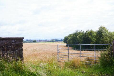 Property Image 59