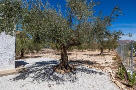 Property Image 25