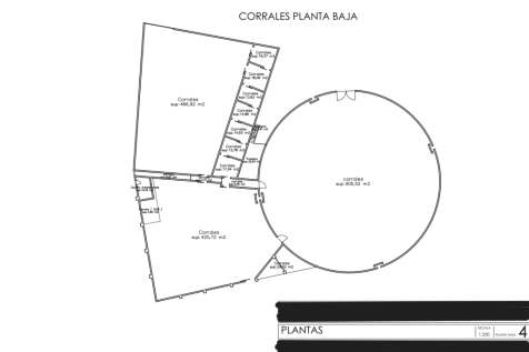 Plano