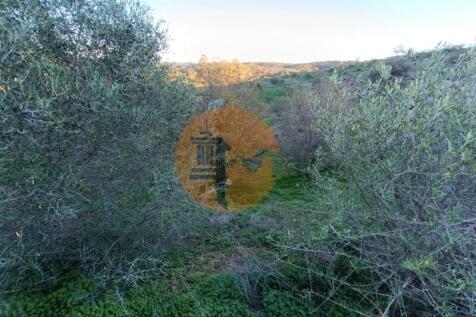 Property Image 67