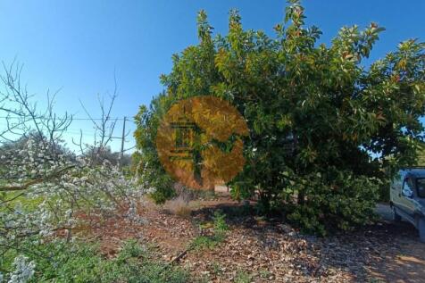 Property Image 60