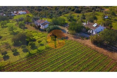 Property Image 61