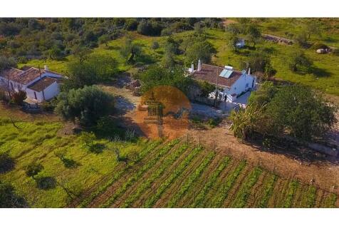 Property Image 63