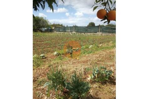 Land #Algarve#CasasdoSotaventoOlhão