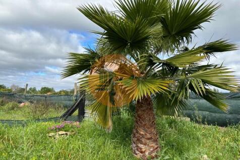 Land #Algarve#CasasdoSotaventoOlhão