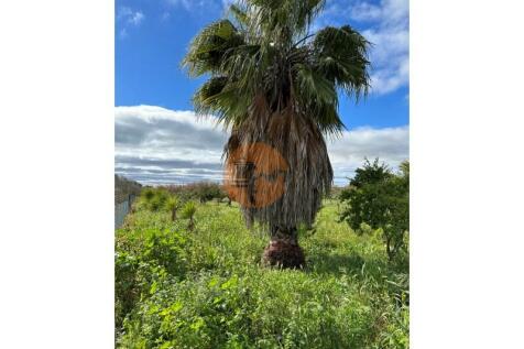 Land #Algarve#CasasdoSotaventoOlhão