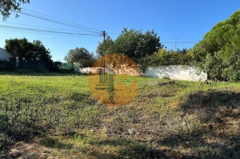 Ground