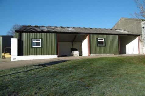 P2 library photo.jpg