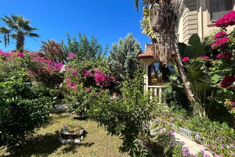 Property Image 31