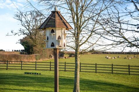 Property Image 63
