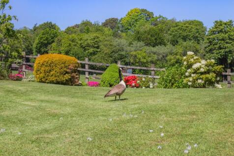 Property Image 25