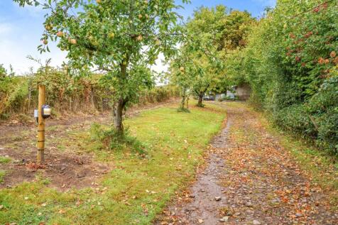 Property Image 39
