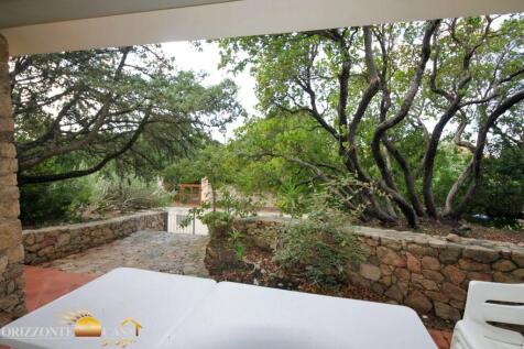 Property Image 43