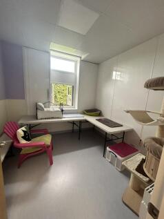 Units 1 ¿ 3 Premier Cats Hotel