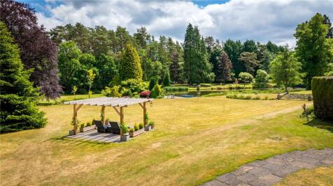 Grounds