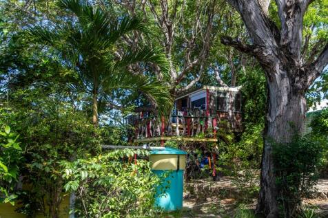 The Treehouse