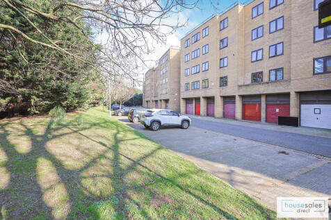 Rear of Property