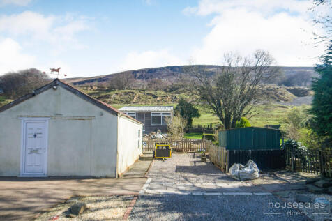 Back Garden