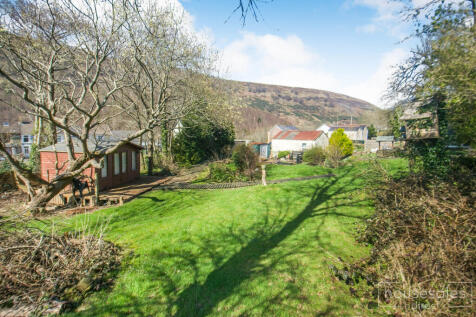 Back Garden