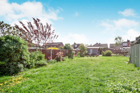 Back Garden