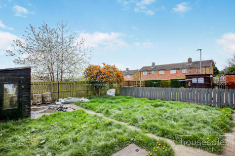 Back Garden
