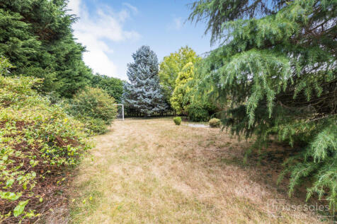 Back Garden