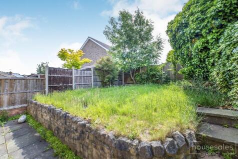 Back Garden