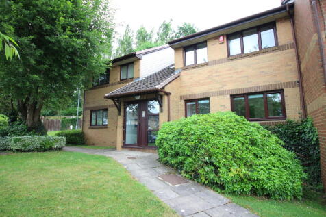 Picture 1