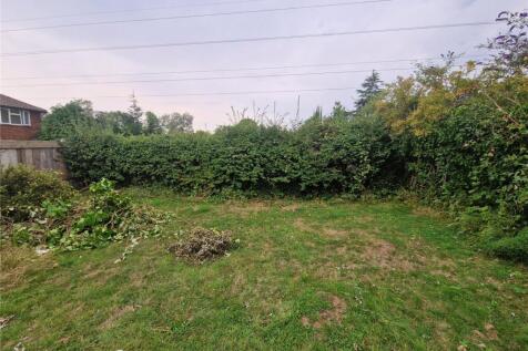 Picture 10